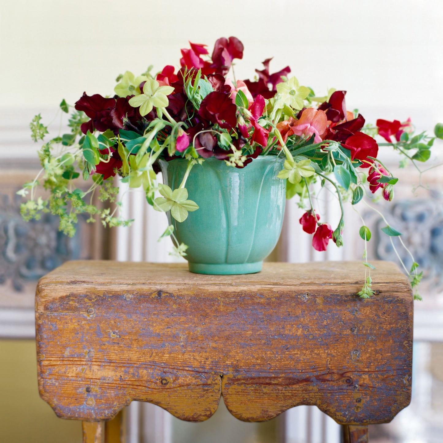  August Bloom — burgundy blooms in teal vase, botanical fine art photography 14x14