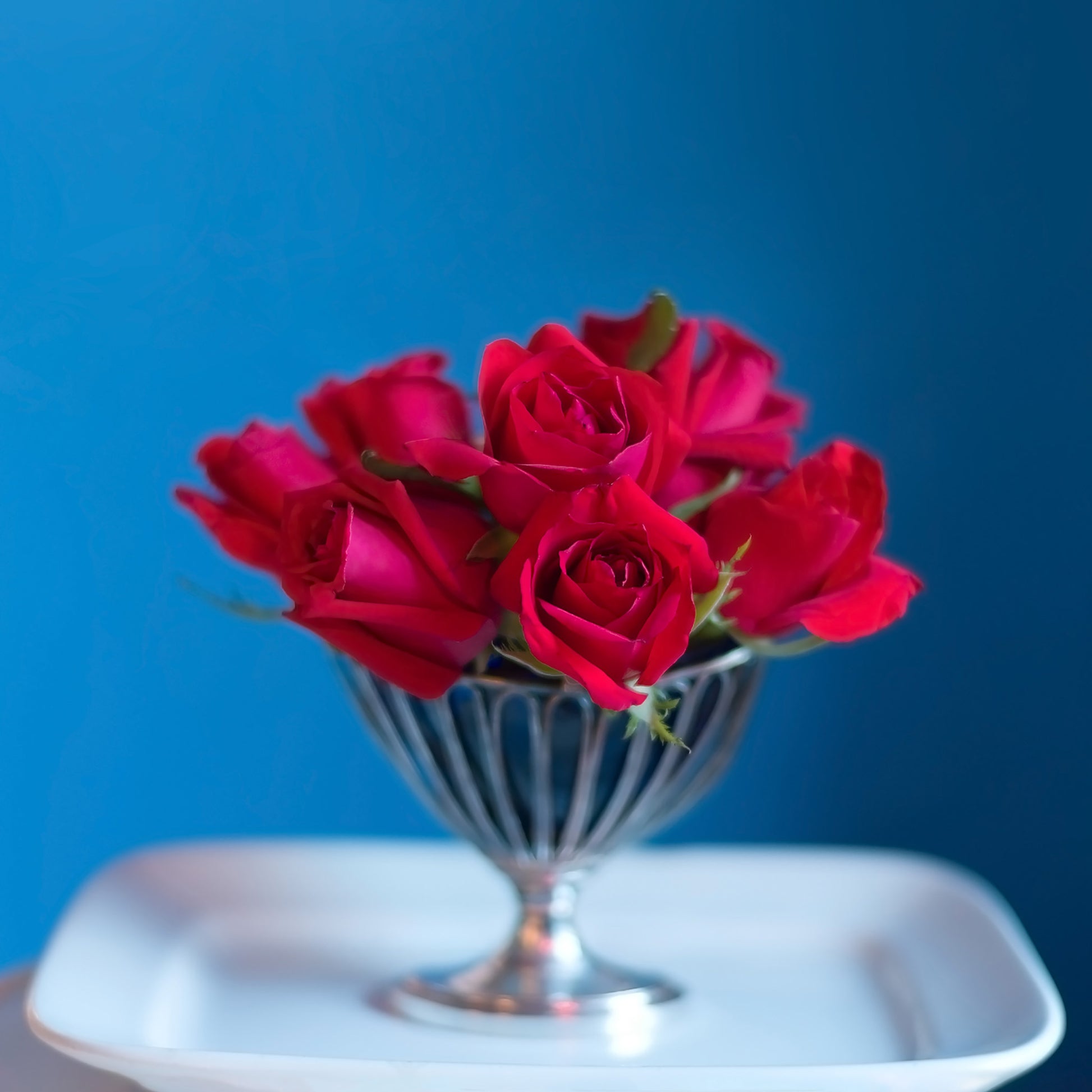Be Mine — red roses in silver compote, botanical fine art photography, 14x14