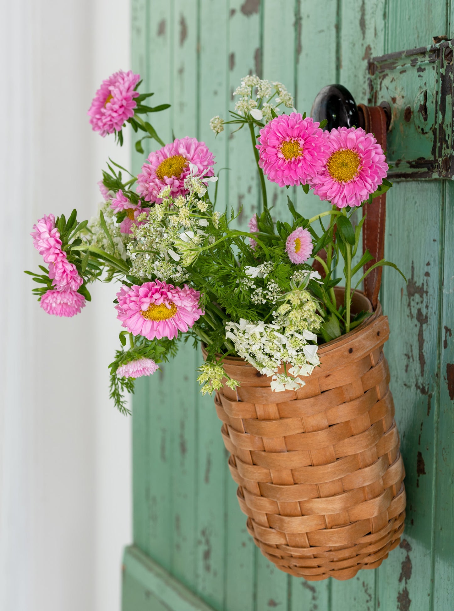 Just Picked — pink asters and queen anne's lace in woven basket, botanical fine art photography 14x19