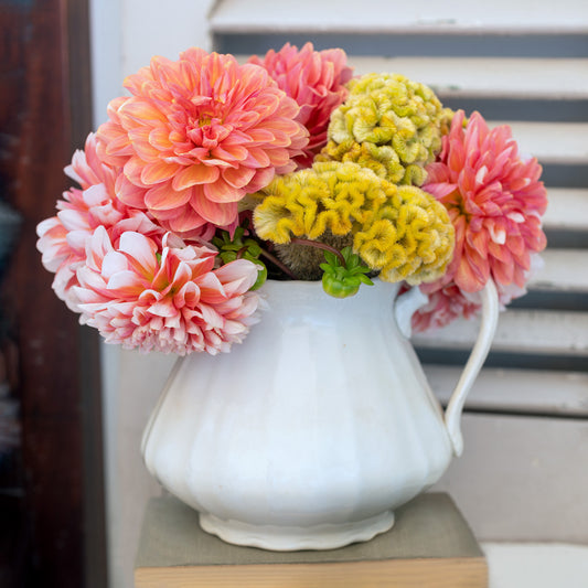 Layers — peach dahlias in white ironstone pitcher, botanical fine art photography 14x14