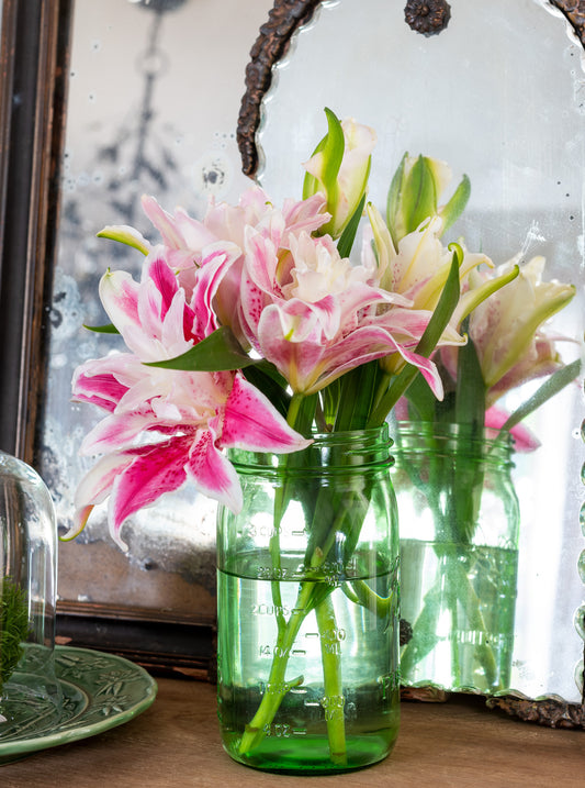 Stargazer — pink rose lilies in green glass ball jar, botanical fine art photography 14x19
