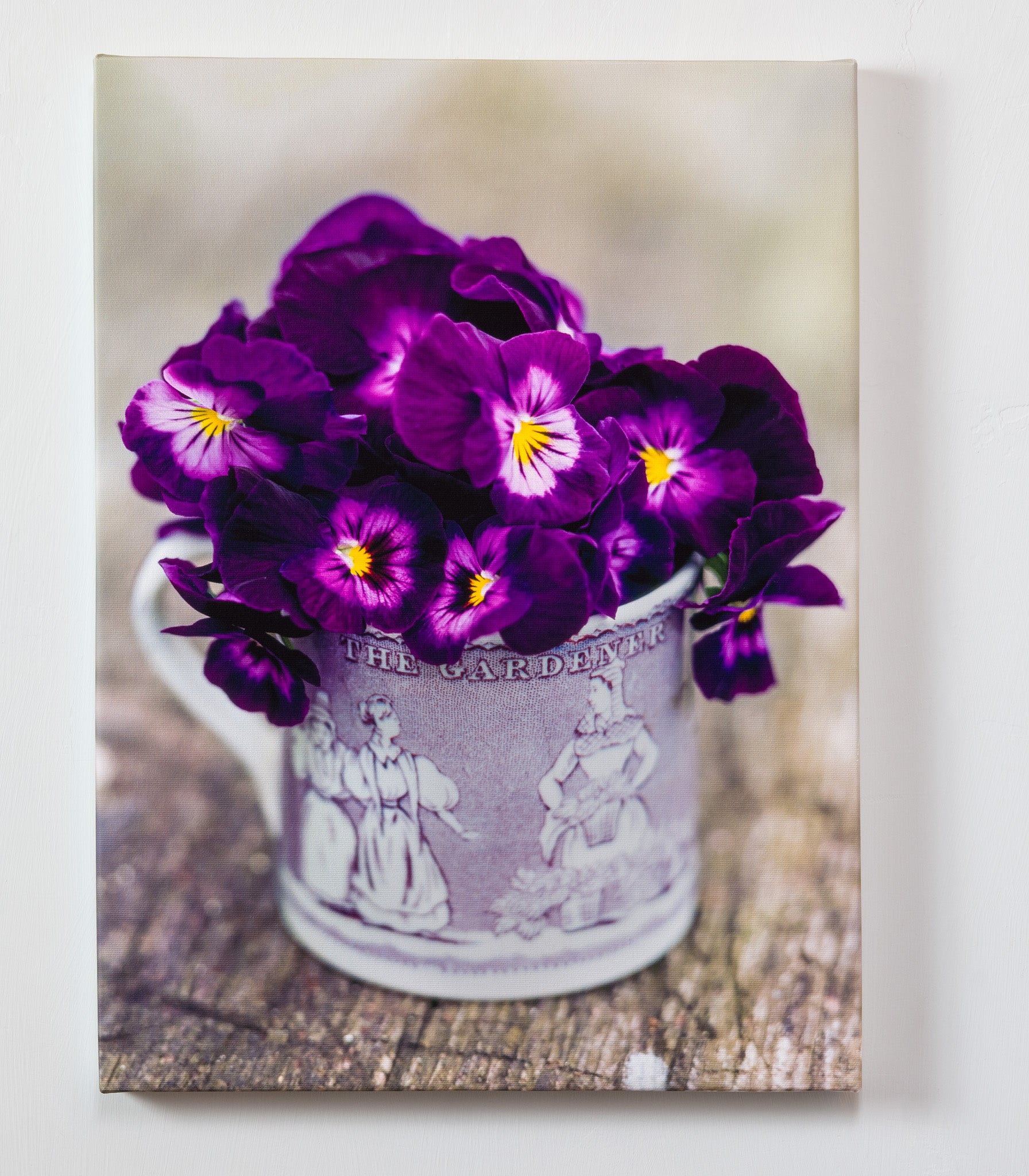  The Gardener — gallery wrapped canvas print, pansy botanical still life, 14x19