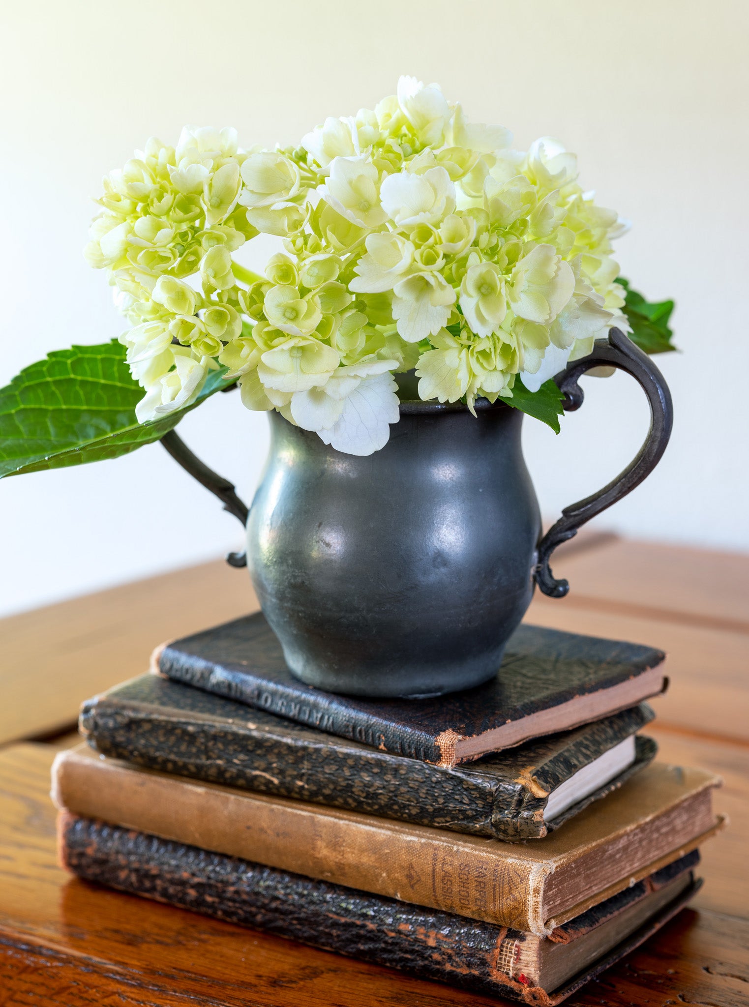 The Parlor — white hydrangea in pewter cup on stack of leather books, botanical fine art photography 14x19