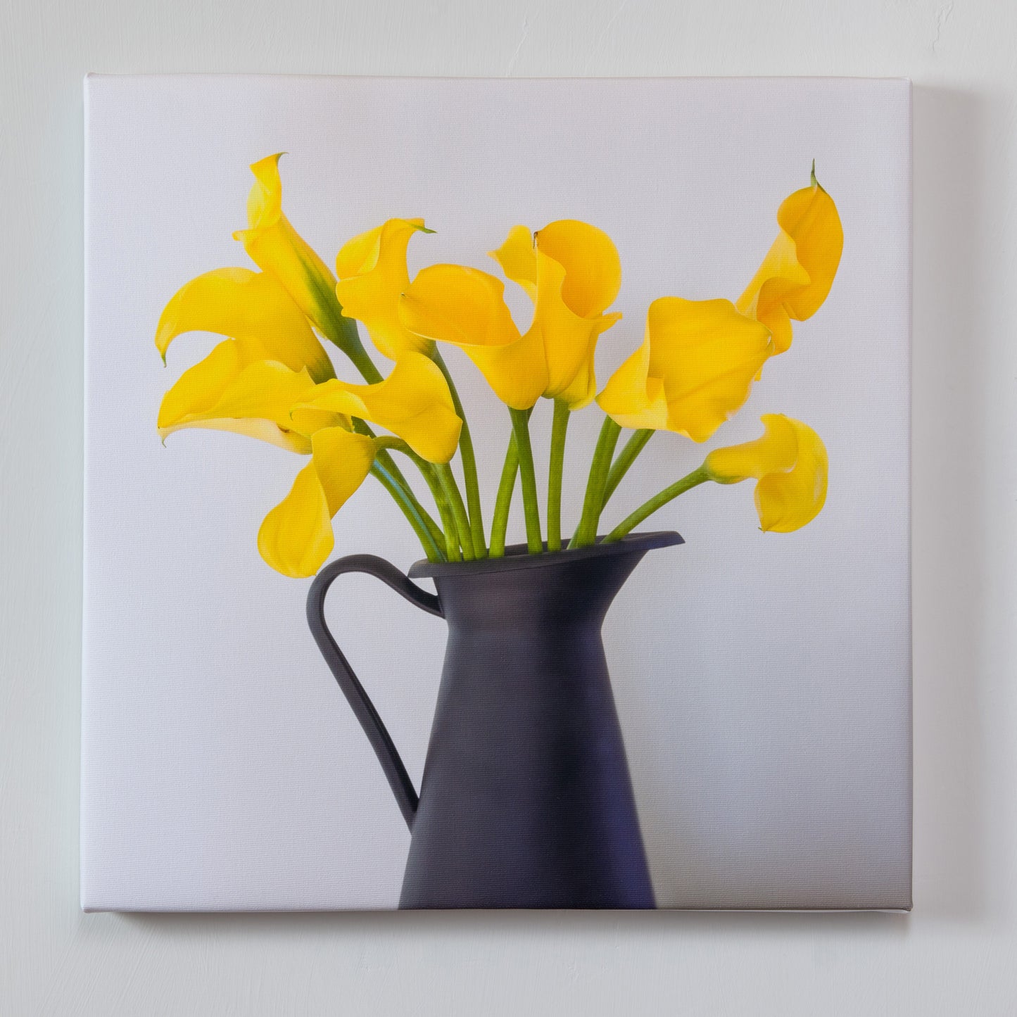 The Study — gallery wrapped canvas print, calla lily botanical still life, 14x14