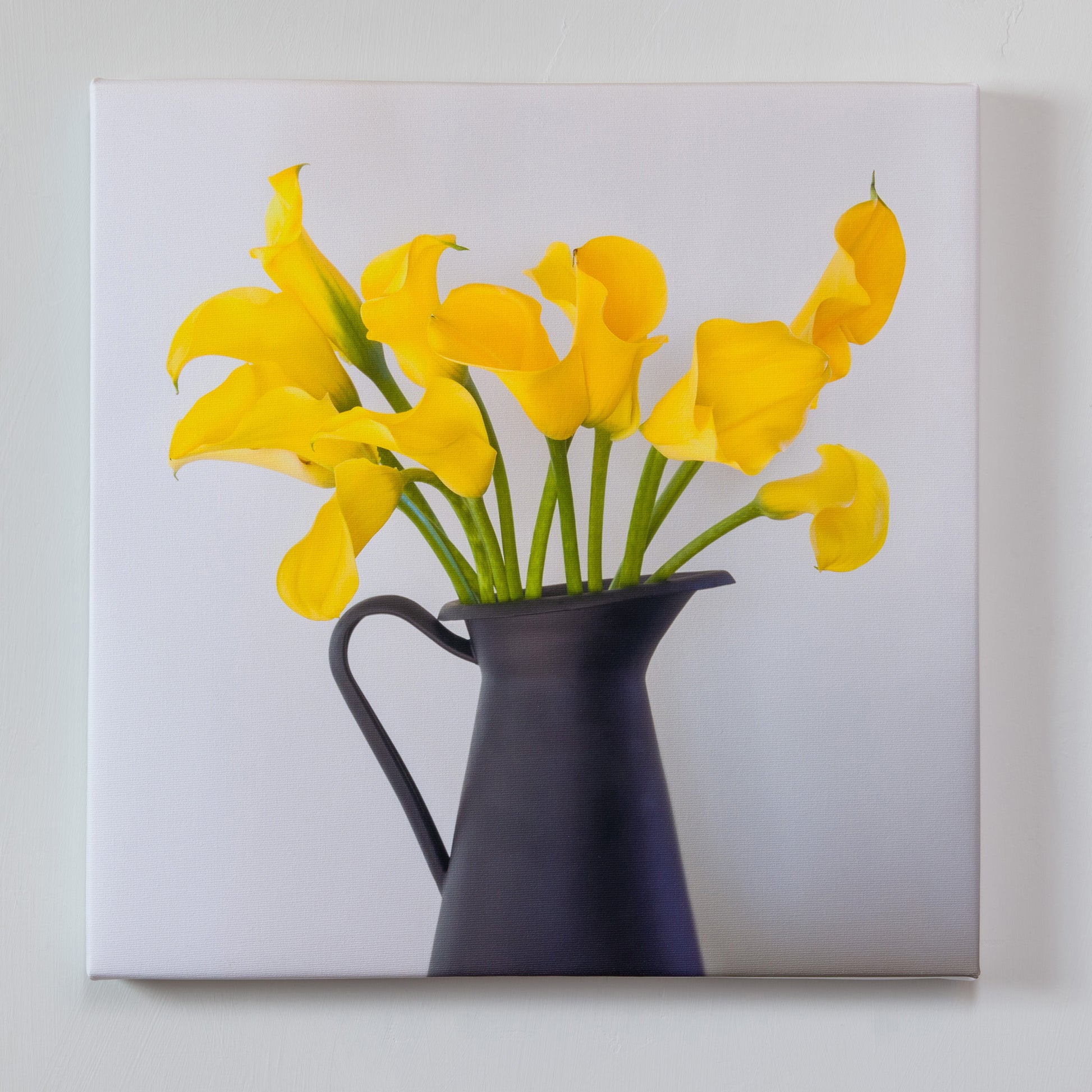 The Study — gallery wrapped canvas print, calla lily botanical still life, 14x14