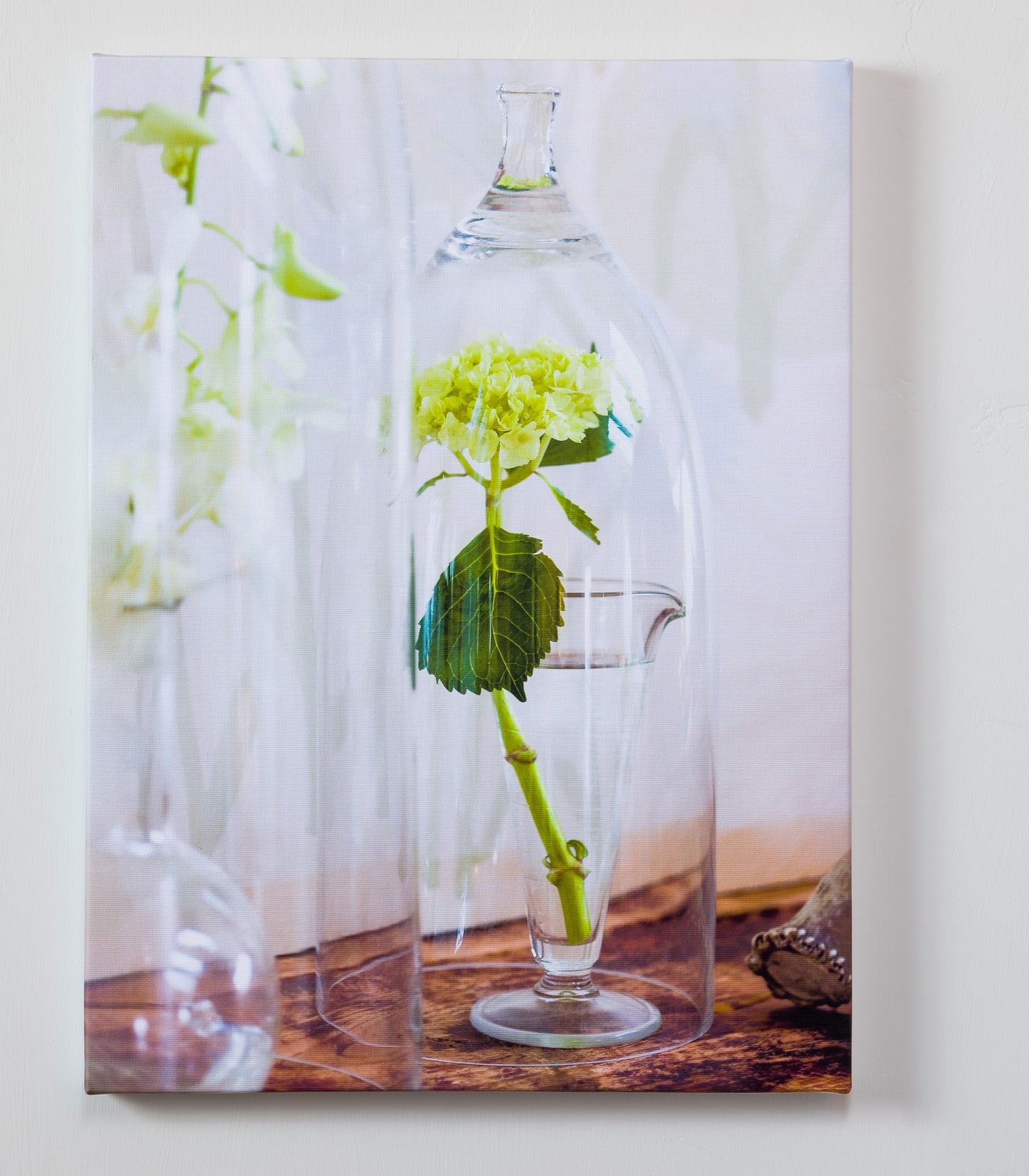 Under Glass — gallery wrapped canvas print, minimalist botanical still life, 14x19